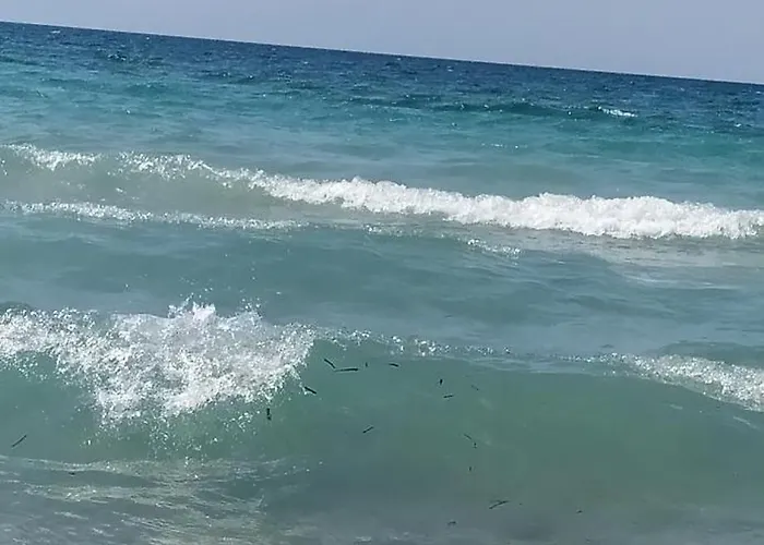 Angelos 公寓 Skála Foúrkas